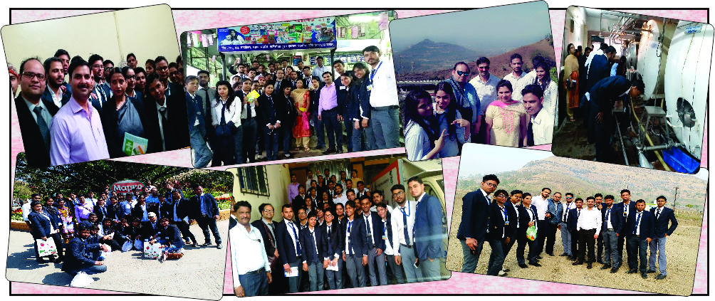 Ind Tour.jpg